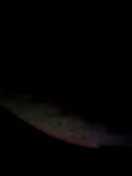 kamita-12 online show from 01.16.26