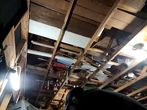 thejuicybacon online show from 11.22.25