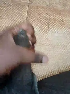 Snapshot of Saikishore00000 chatting on 09.15.25 Saikishore00000 online show from 09.15.25