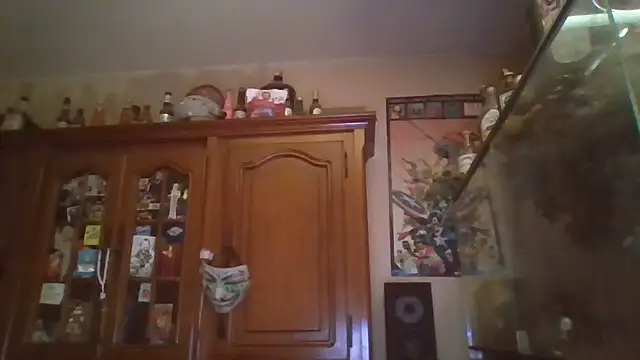 zipman92 online show from 01.15.26