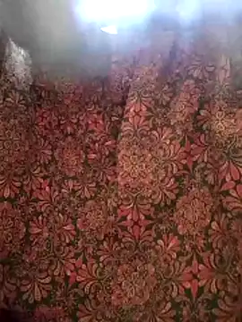 Snapshot of aunty_sumy chatting on 02.04.26 aunty sumy online show from 02.04.26