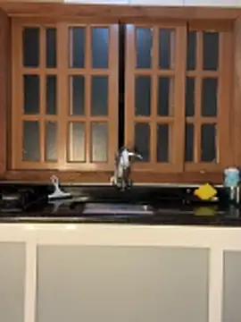 Casalmasc online show from 04.15.26