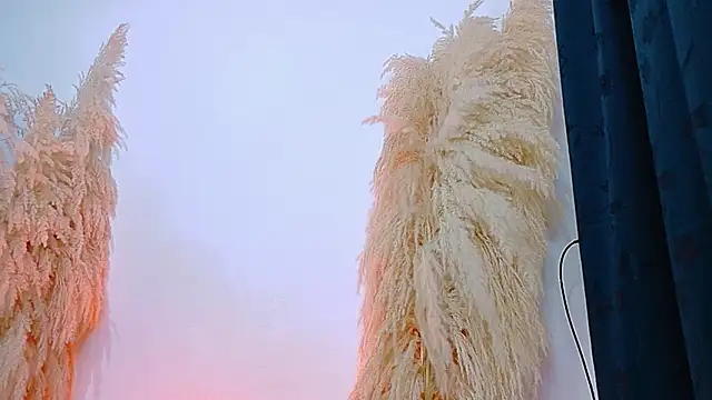 JulietaDavis online show from 02.20.26