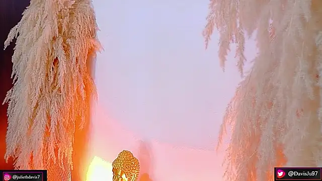 JulietaDavis online show from 06.29.26