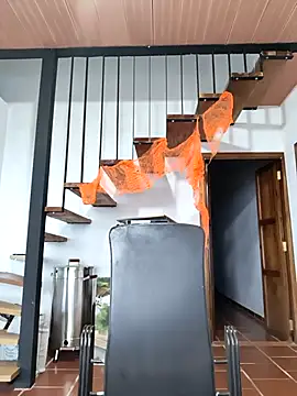 Snapshot of Hiroshi_Shen chatting on 11.05.25 Hiroshi Shen online show from 11.05.25