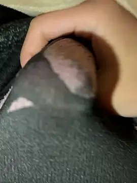 Snapshot of rrrrrriyyffhyeeee chatting on 02.16.26 rrrrrriyyffhyeeee online show from 02.16.26