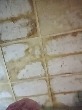 RFeltomWhitJ online show from 11.18.25