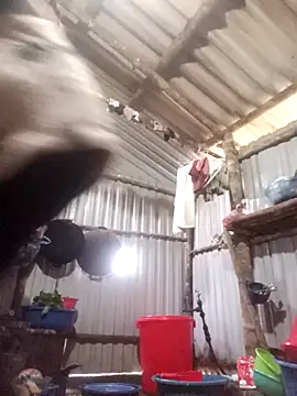 Snapshot of jienrrr chatting on 12.17.25 jienrrr online show from 12.17.25