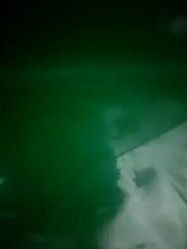 daisylouis online show from 04.03.26