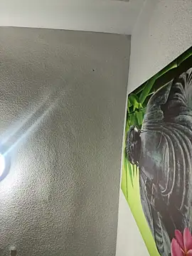 Snapshot of aavrdvh33 chatting on 02.03.26 aavrdvh33 online show from 02.03.26