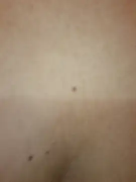 Luna 20x online show from 10.08.25