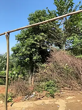 Snapshot of ThiHa003 chatting on 11.27.25 ThiHa003 online show from 11.27.25