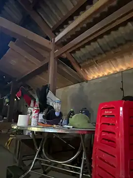 Snapshot of ThiHa003 chatting on 01.18.26 ThiHa003 online show from 01.18.26