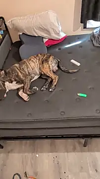 Snapshot of Cnutt310 chatting on 03.02.26 Cnutt310 online show from 03.02.26