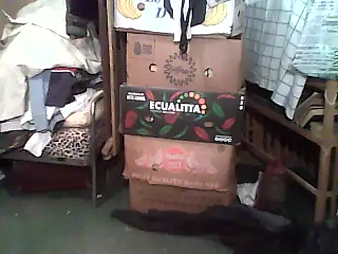 A1B3- online show from 12.14.25