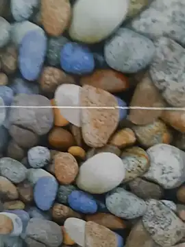 Snapshot of coocon2020 chatting on 10.28.25 coocon2020 online show from 10.28.25