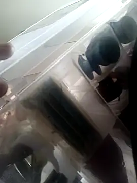 Isabella5 Brown  online show from 10.07.25