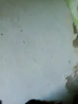 Snapshot of perversa068 chatting on 02.04.26 perversa068 online show from 02.04.26