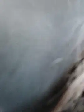 meomeocute online show from 03.11.26