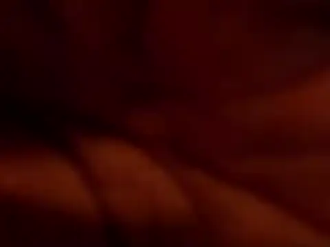 Snapshot of TRANSPORNIDOL chatting on 11.22.25 TRANSPORNIDOL online show from 11.22.25