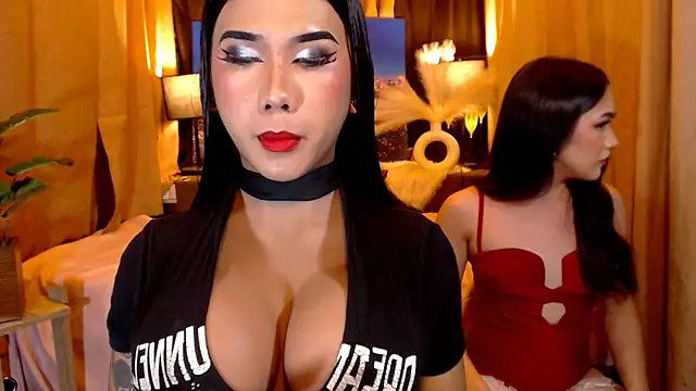 TRANSPORNIDOL online show from 05.12.26