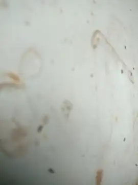 Mounstro3 online show from 11.28.25