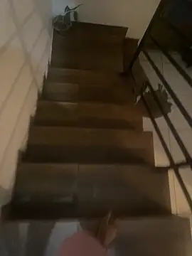 pretalst online show from 11.19.25