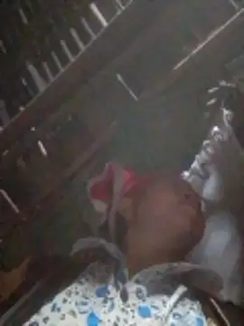 VangLe73 online show from 03.03.26