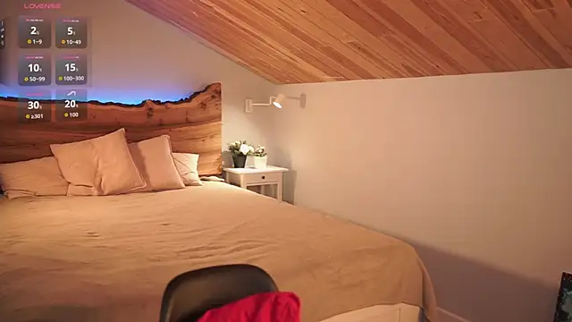 Snapshot of Nerissa_xo chatting on 02.22.26 Nerissa xo online show from 02.22.26