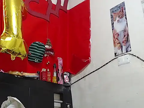 Snapshot of Npga96 chatting on 02.20.26 Npga96 online show from 02.20.26