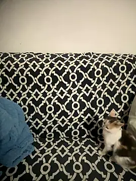 Sweet lollipop25 online show from 01.11.26