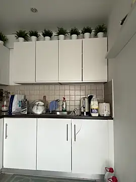 Michel huge online show from 05.08.26