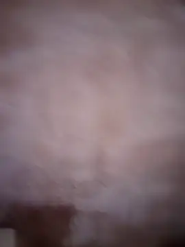 ddllrr224 online show from 12.16.25