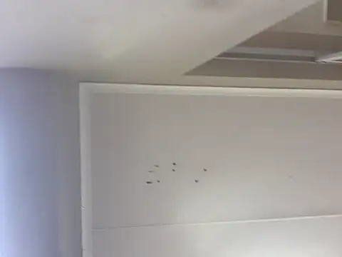 sex-machanic online show from 11.28.25