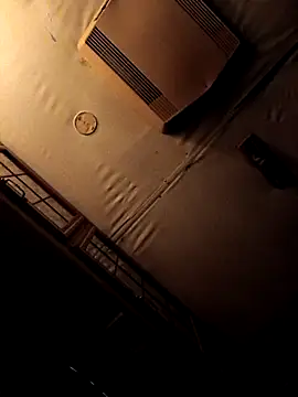 ShawnandDani7074 online show from 02.04.26