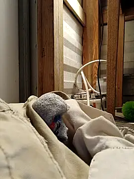 ShawnandDani7074 online show from 02.17.26