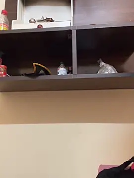 modelnishu online show from 04.09.26