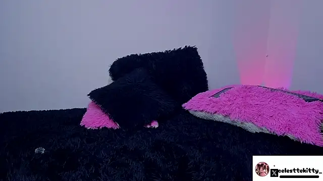 celestte evans 1 online show from 03.16.26