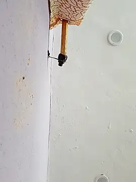 Snapshot of funcreat chatting on 09.11.25 funcreat online show from 09.11.25