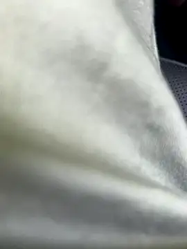 Snapshot of Zoro404040 chatting on 09.16.25 Zoro404040 online show from 09.16.25