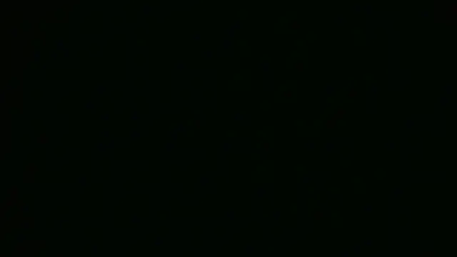 Snapshot of ch0wn_m chatting on 09.18.25 ch0wn m online show from 09.18.25