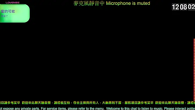 tw239398 online show from 02.19.26