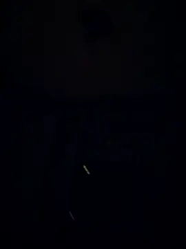 Snapshot of Mumuska chatting on 10.29.25 Mumuska online show from 10.29.25