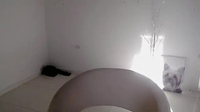 Stein  online show from 09.24.25