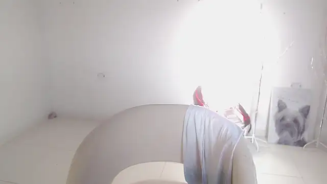 Stein  online show from 09.26.25