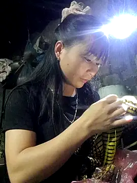 Sunyinn online show from 11.03.25