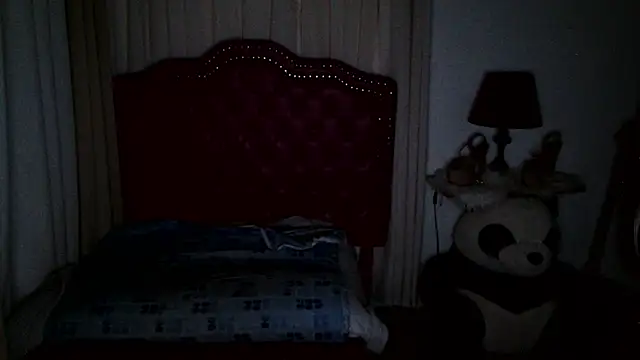 Snapshot of its_baby_tira chatting on 01.11.26 its baby tira online show from 01.11.26