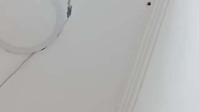 Atley Dolly online show from 09.21.25