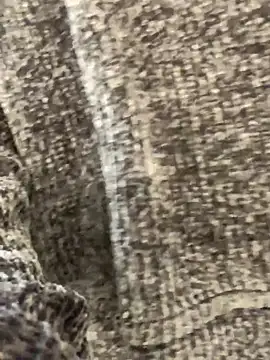 sunset24 online show from 10.13.25