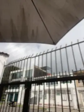 Sallem Pink online show from 04.01.26